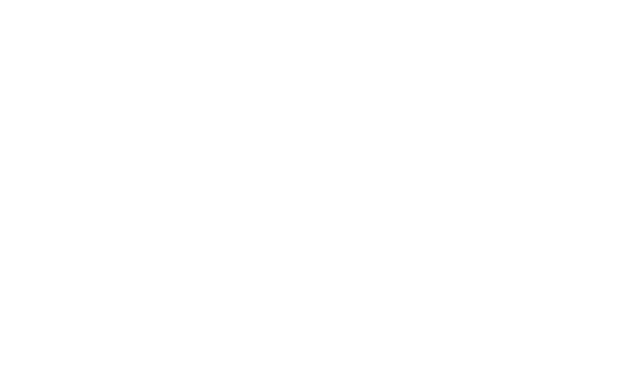Alemán Home Solutions house icon